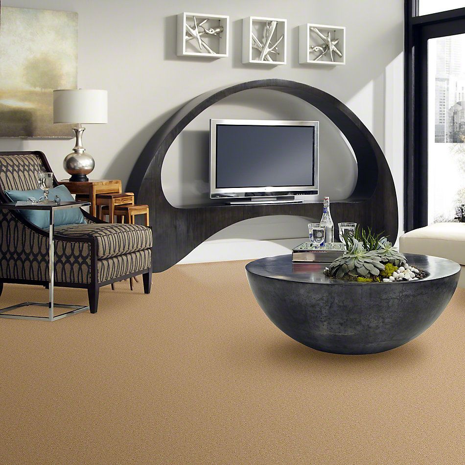 Shaw Floors This Is It Evening Beige 52E51_00104