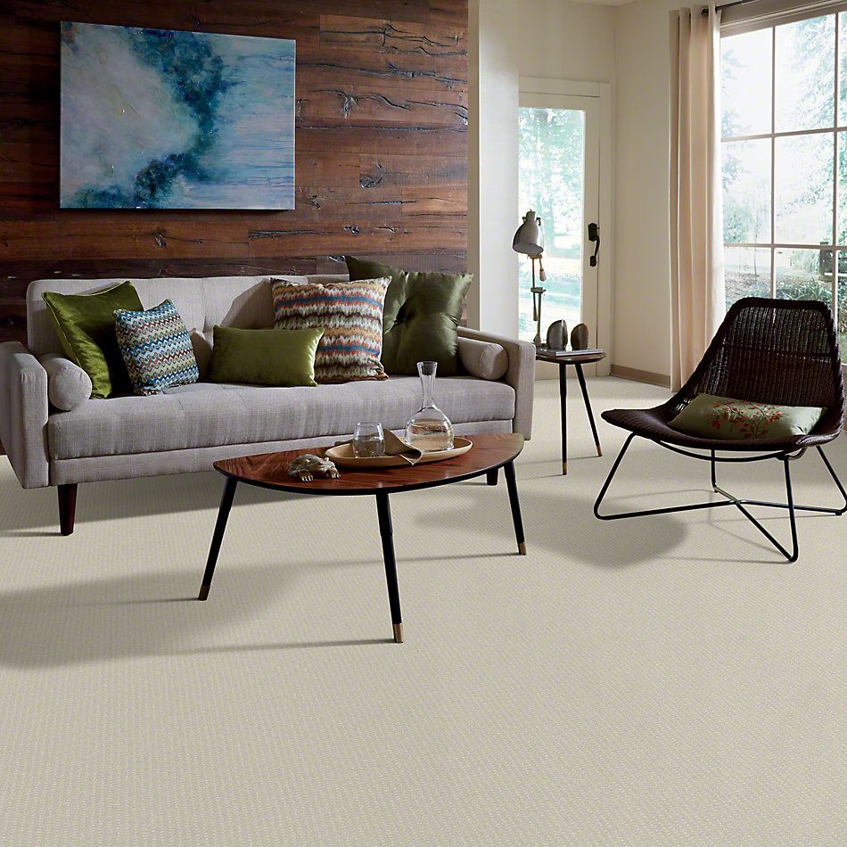Shaw Floors Enduring Comfort Pattern Polar 00104_E0404