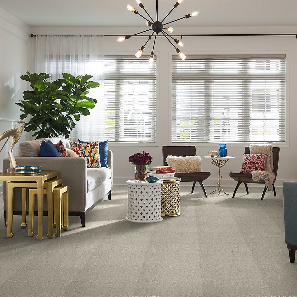 Shaw Floors Cashmere III Lg Cheviot 00104_CC11B