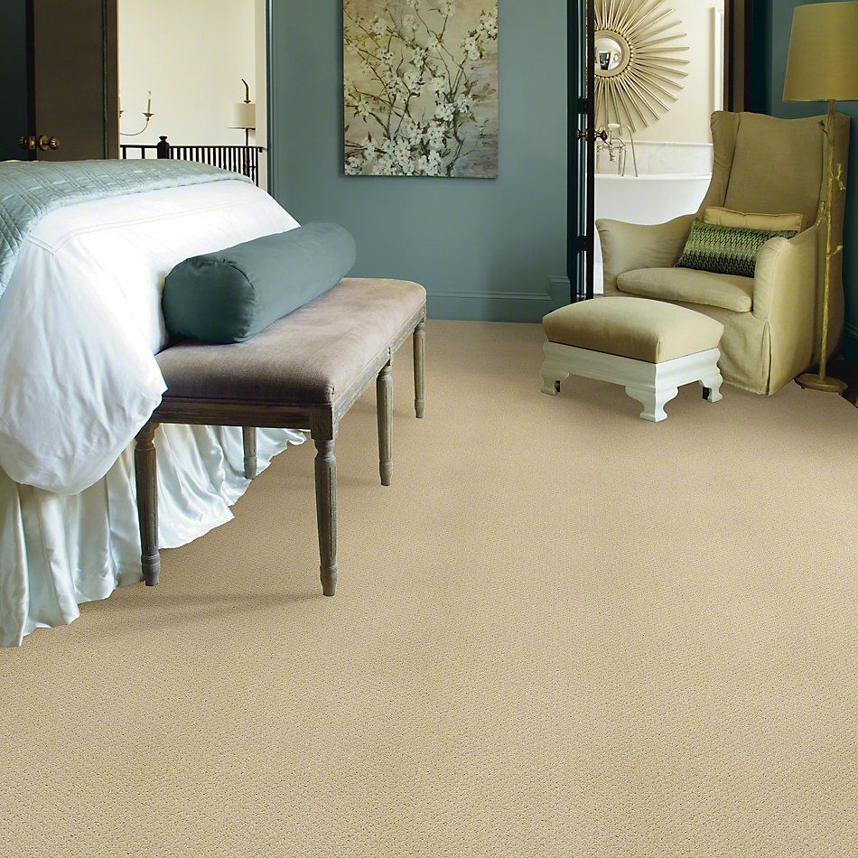 Shaw Floors Genesis Frost 00104_E0525