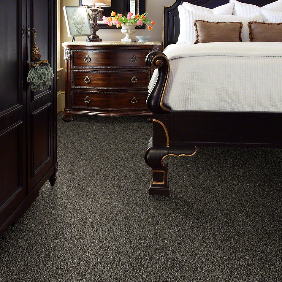 Shaw Floors Simply The Best Because We Can II 15 Timber Wolf 00104_E9259