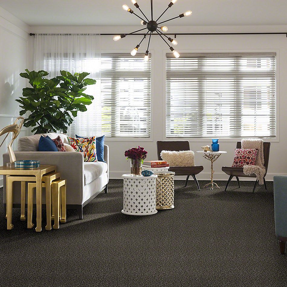 Shaw Floors Value Collections Because We Can I 15′ Net Timber Wolf 00104_E9313