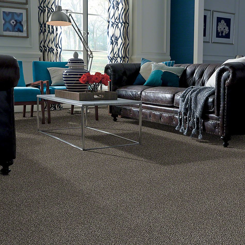 Shaw Floors Value Collections Because We Can III 12′ Net Timber Wolf 00104_E9316