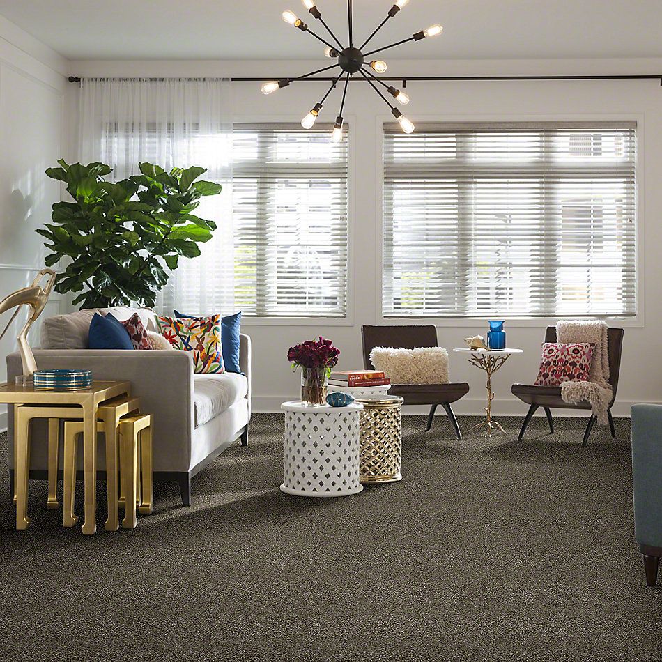 Shaw Floors Value Collections Of Course We Can I 15 Net Arbor 00104_E9432