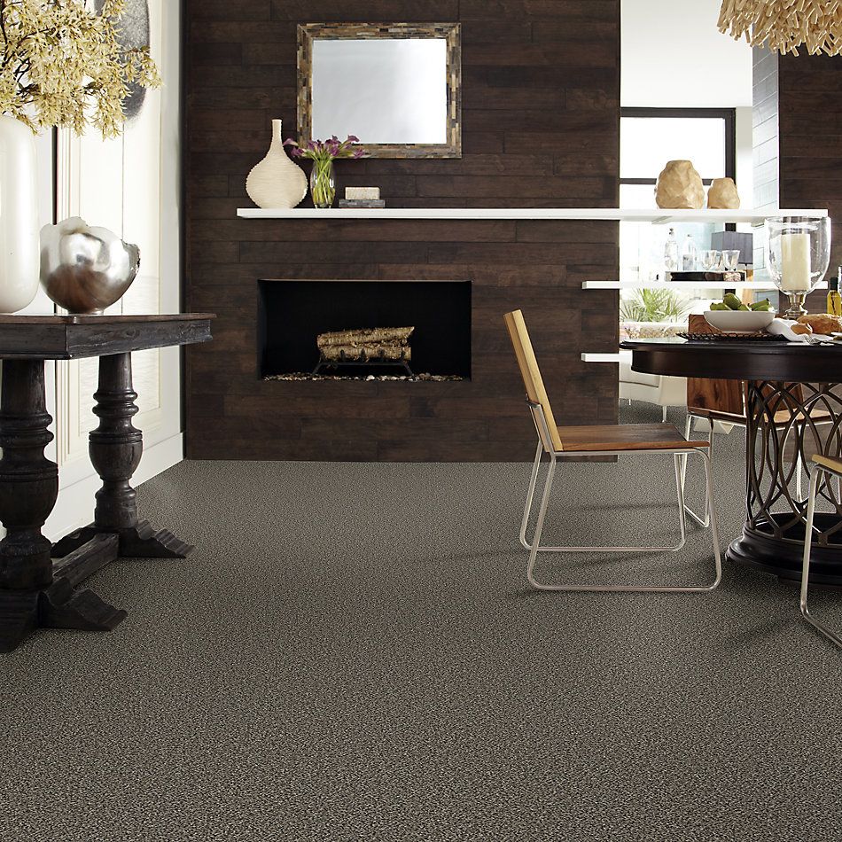 Shaw Floors Value Collections Accents For Sure 15′ Timber Wolf 00104_E9923