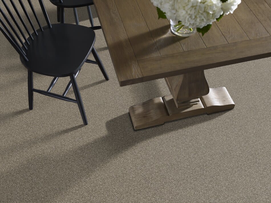 Shaw Floors Value Collections Xy207 Net Arbor 00104_XY207