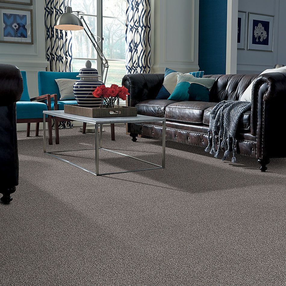 Shaw Floors Value Collections Xz147 Net Cozy Light 00104_XZ147