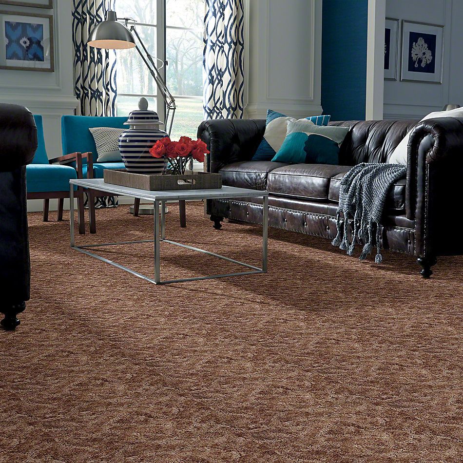 Shaw Floors Dynamics Warm Clay 52606_00105