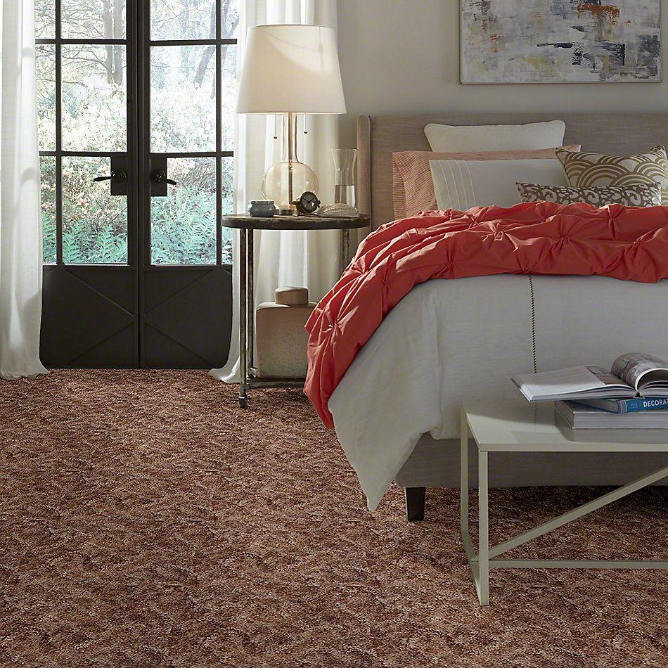 Shaw Floors Dynamics Warm Clay 52606_00105