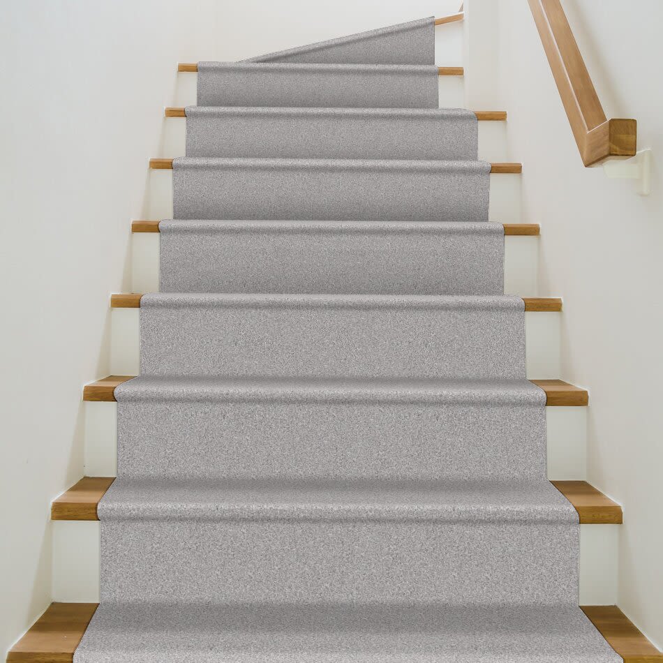 Shaw Floors Pet Perfect Grandiose Net Silver Lining 00105_5E501