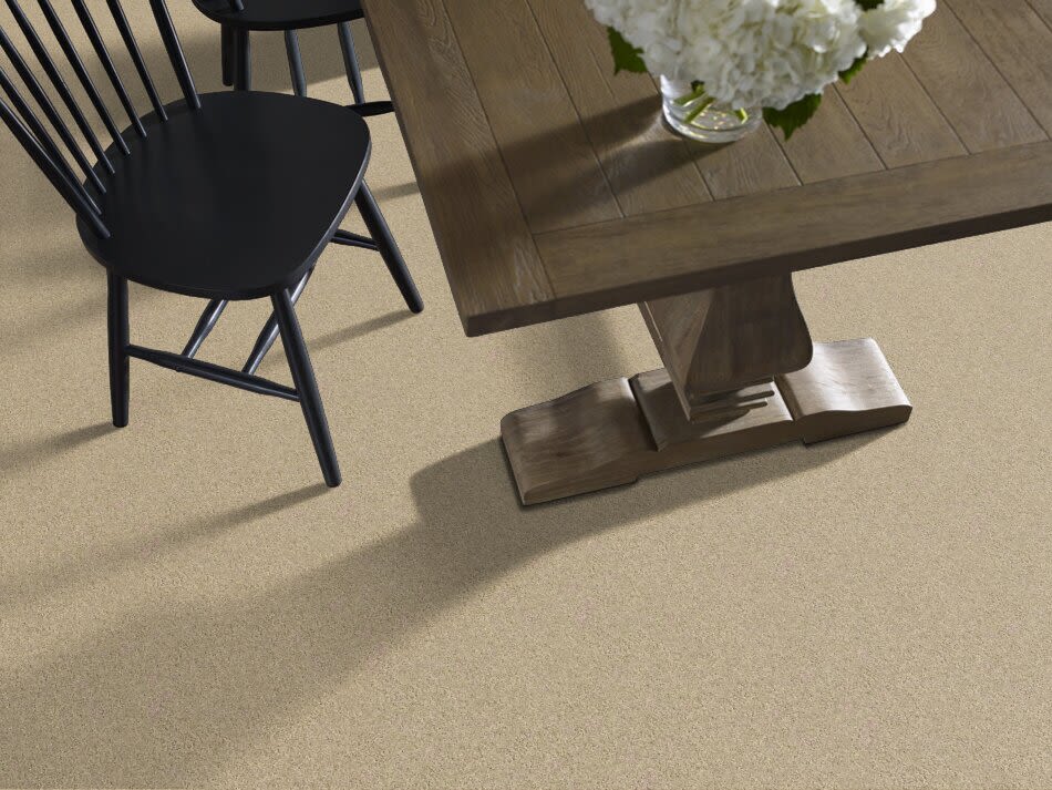 Shaw Floors Ultratouch Anso Exalted Beauty I Mesa 00105_748Z7