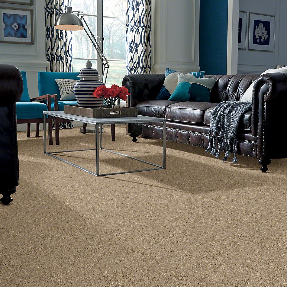 Shaw Floors SFA Versatile Design I 12′ Sugar Cookie 00105_Q4688