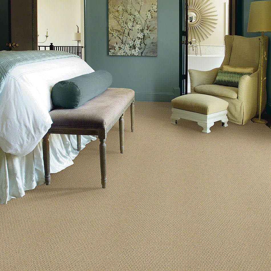 Shaw Floors Ready To Go Field Stone 00105_E0487