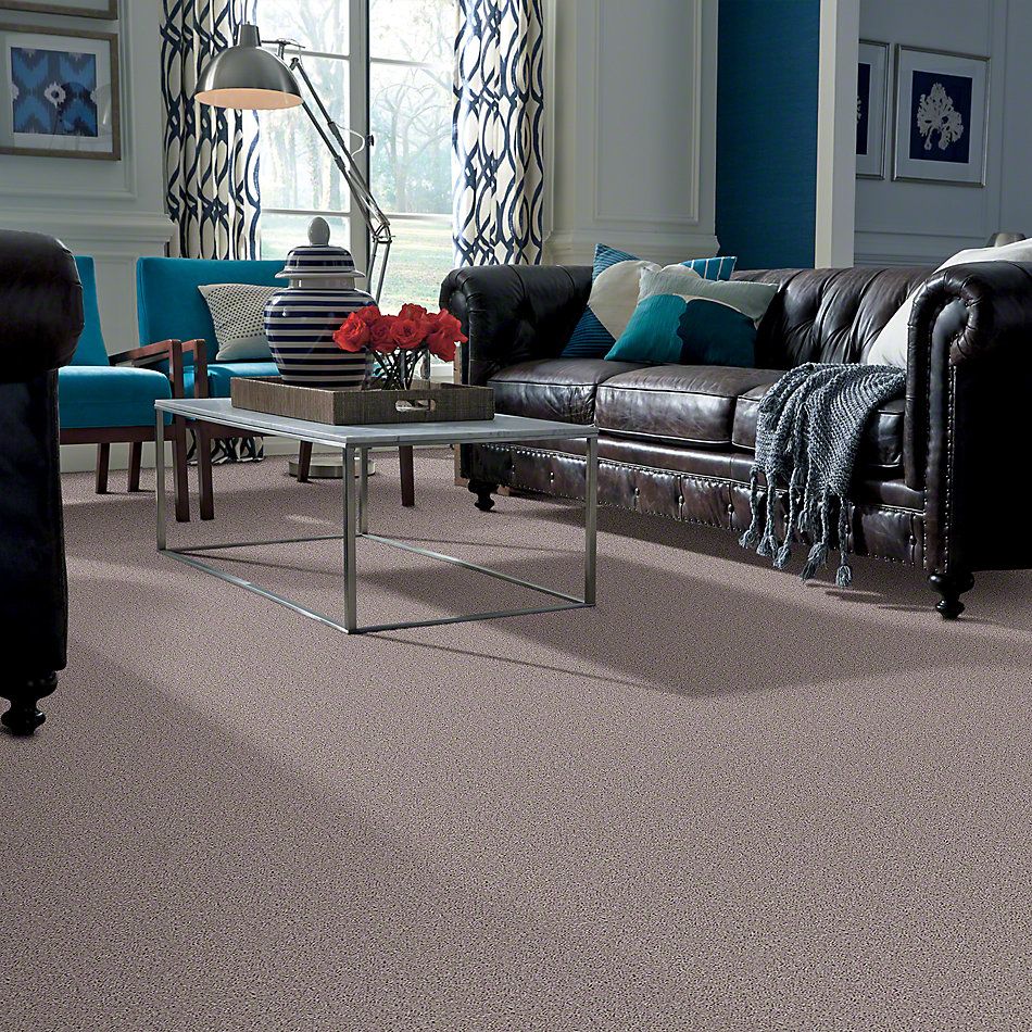 Shaw Floors Value Collections All Star Weekend III 15′ Net Bare Mineral 00105_E0816