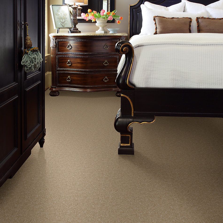 Shaw Floors Value Collections Passageway 3 12 Net Sugar Cookie 00105_E9154