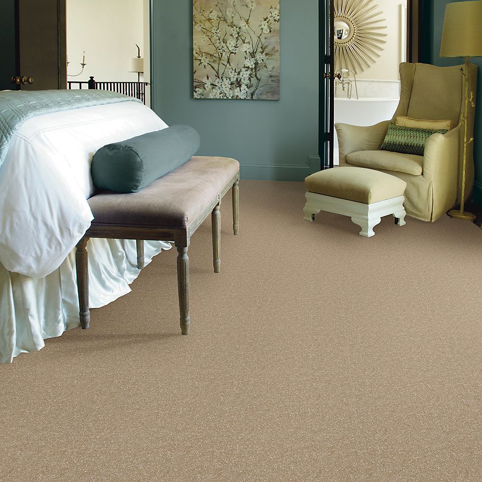 Shaw Floors Value Collections Passageway 3 Net Sugar Cookie 00105_E9377