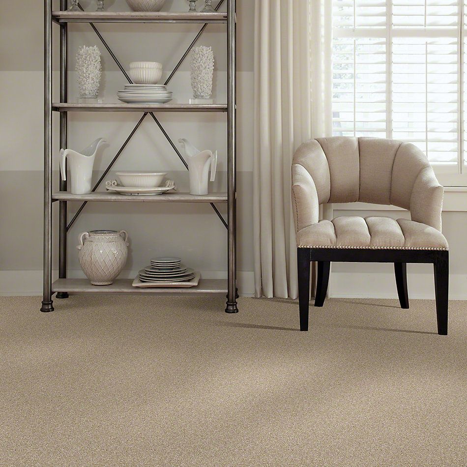 Shaw Floors Simply The Best Of Course We Can I 12′ Sepia 00105_E9421