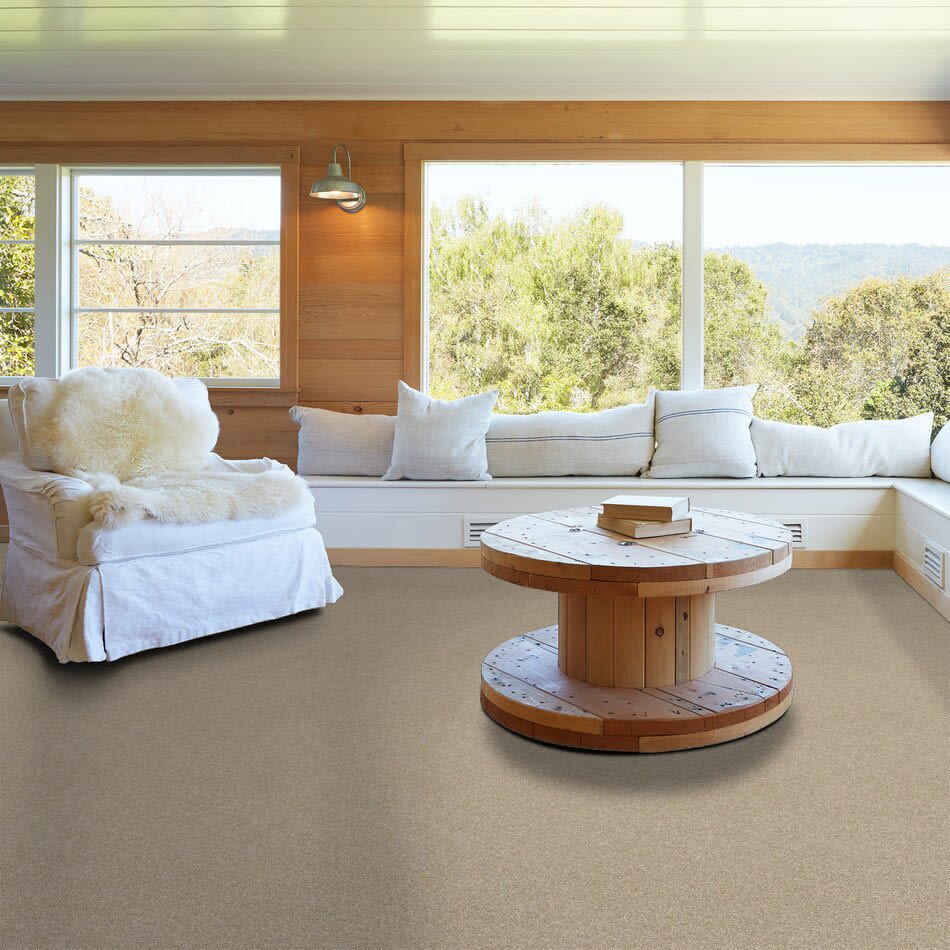 Shaw Floors Value Collections Xy207 Net Sepia 00105_XY207