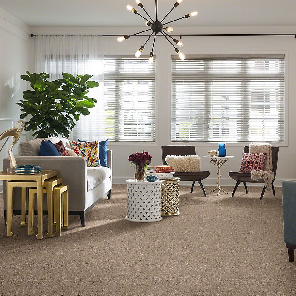 Shaw Floors Optimum White Fox 52Q59_00106