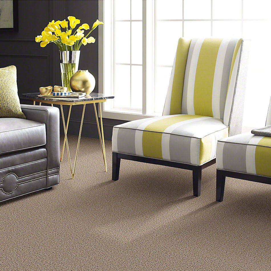 Shaw Floors Guess Work (s) Bleached Straw 52T99_00106