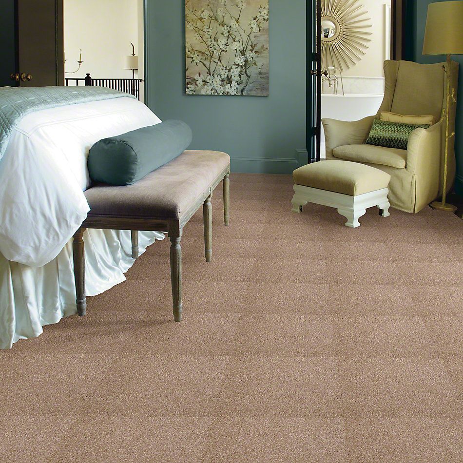 Shaw Floors Town Creek I 15′ Muffin 52V12_00106