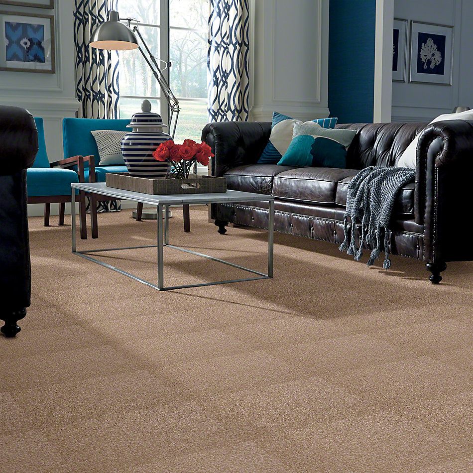 Shaw Floors Town Creek I 15′ Muffin 52V12_00106