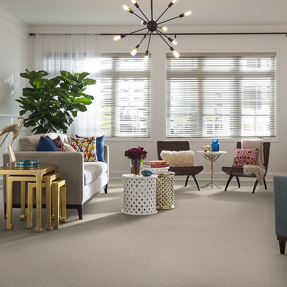 Shaw Floors Shaw Flooring Gallery Premier Role Sand Dollar 00106_5571G