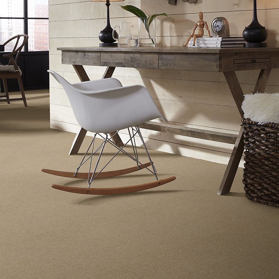Shaw Floors Value Collections Heroic Net Spanish Sand 00106_5E386