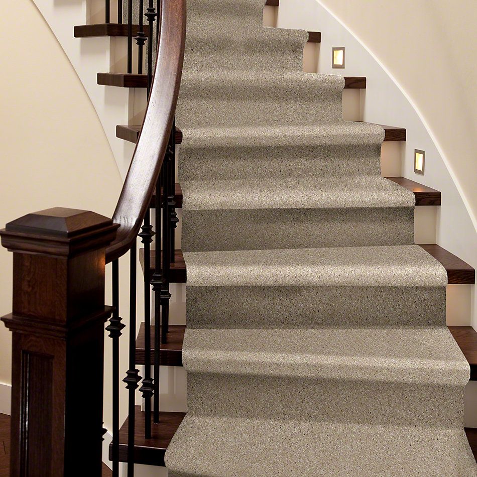 Shaw Floors Roll Special Xv540 Cameo 00106_XV540