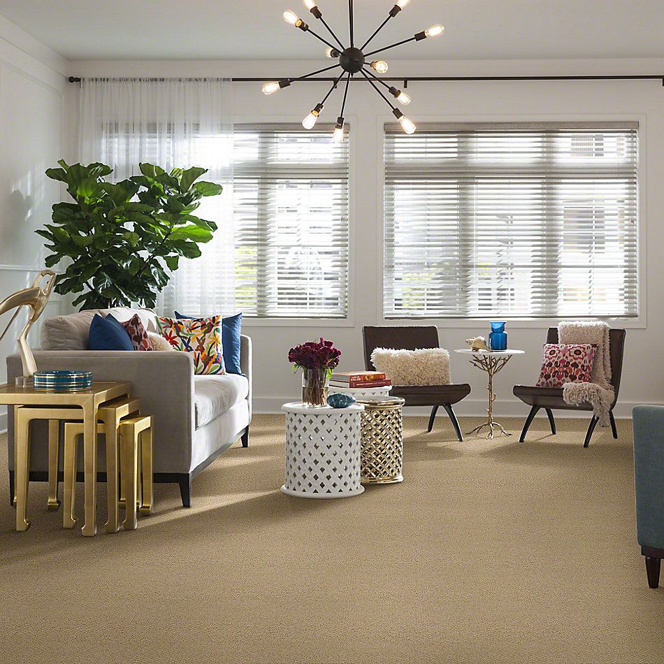Shaw Floors Timeless Charm Loop Blonde Cashmere 00106_E0405