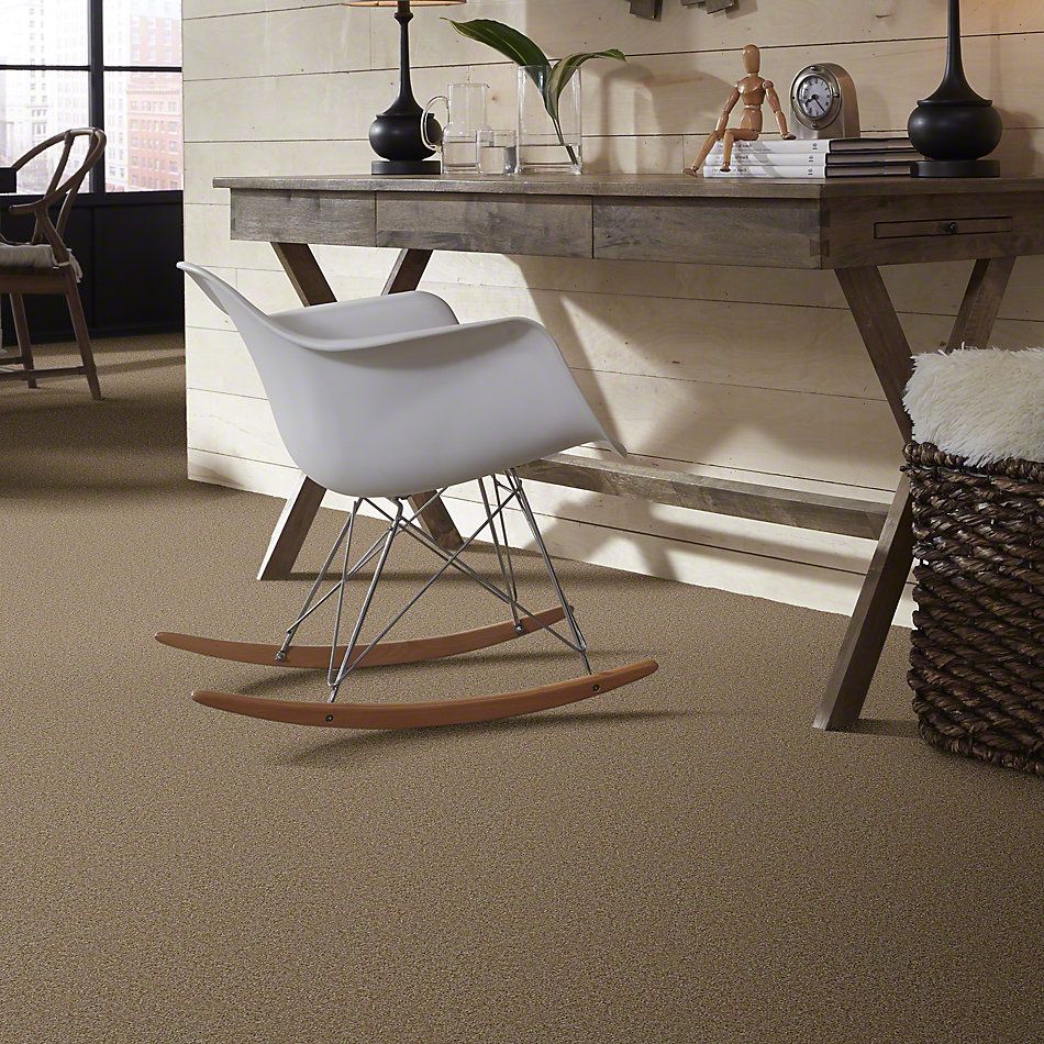 Shaw Floors Shaw Flooring Gallery Chromatic Antique Wood 53633_00107