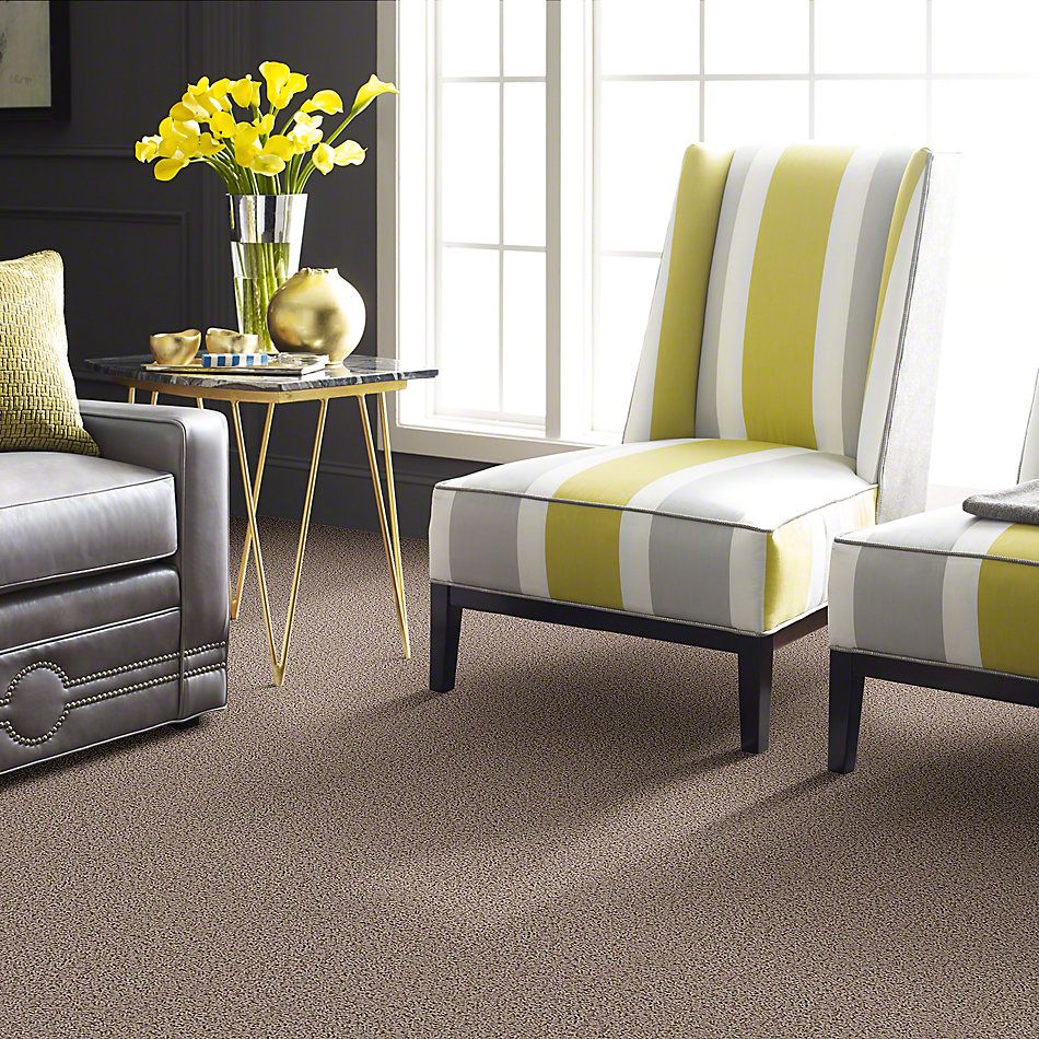Shaw Floors Guess Work (s) Leather 52T99_00107