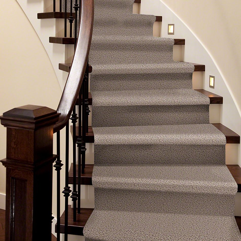 Shaw Floors Guess Work (s) Leather 52T99_00107