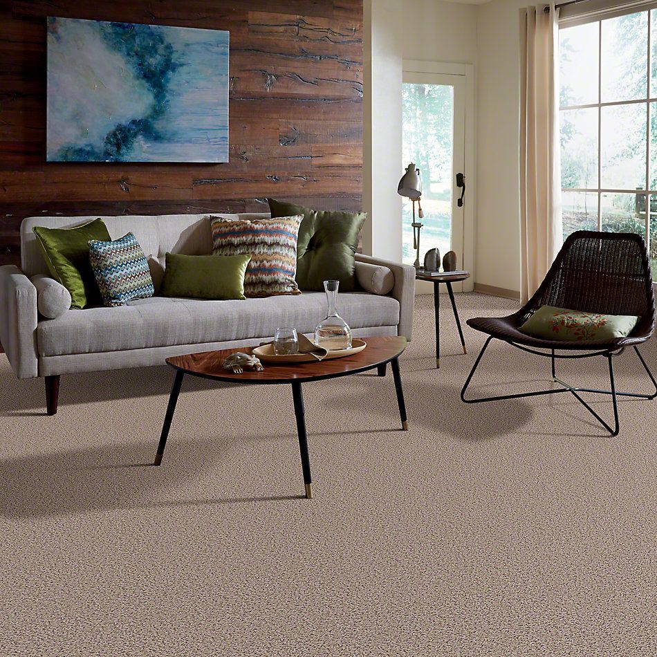 Shaw Floors Guess Work (s) Leather 52T99_00107