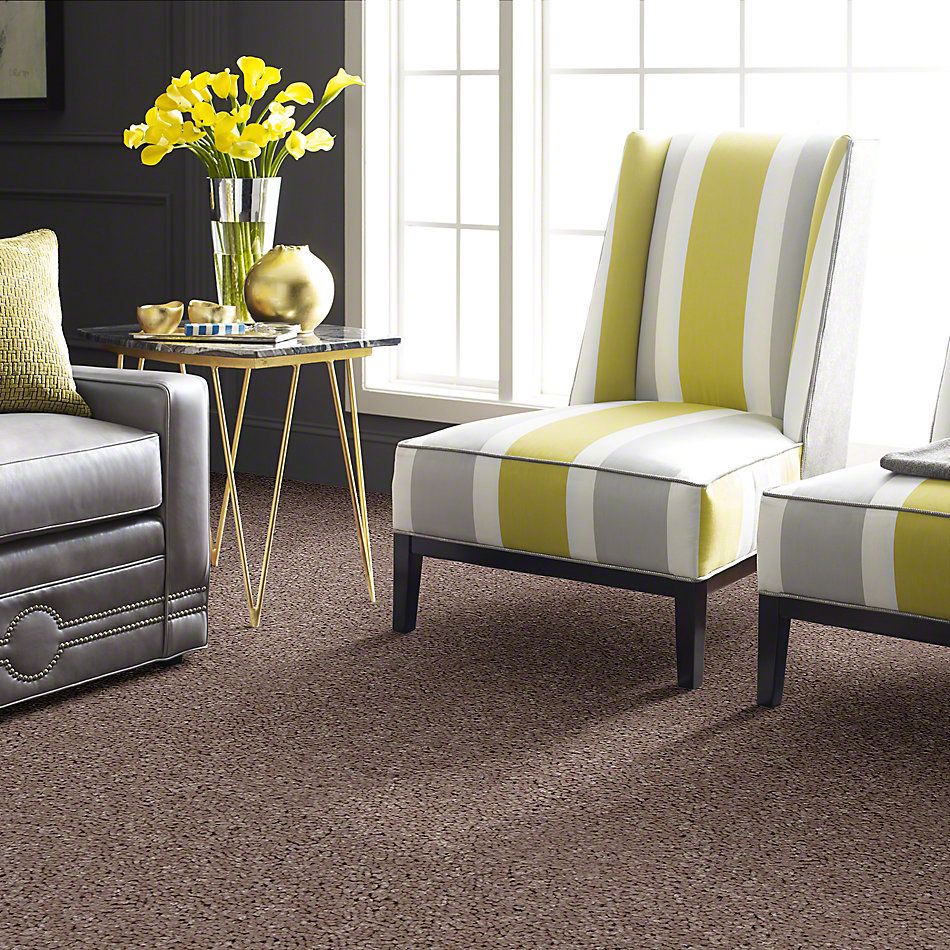 Shaw Floors Full Court 12′ Tassel 52Y46_00107