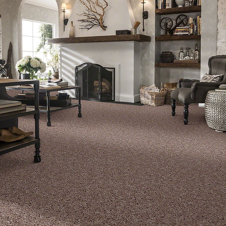 Shaw Floors Full Court 12′ Tassel 52Y46_00107