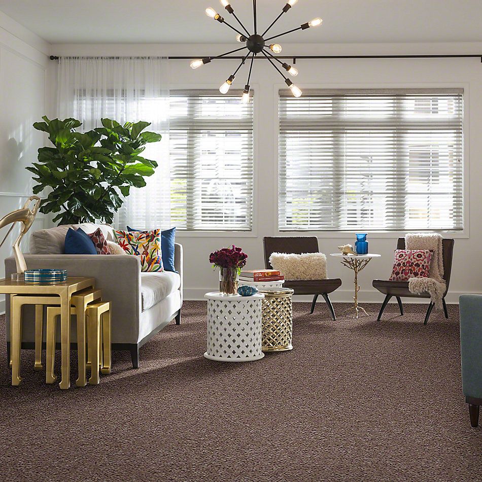 Shaw Floors Full Court 12′ Tassel 52Y46_00107