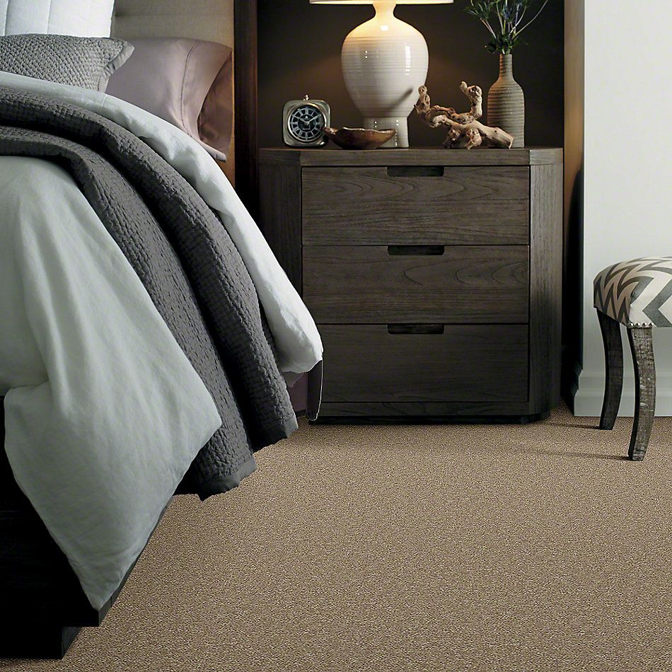 Shaw Floors Full Court 15′ Tassel 52Y82_00107