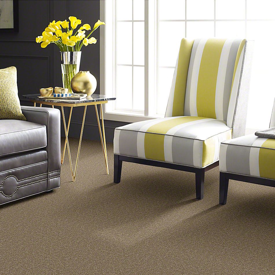 Shaw Floors Full Court 15′ Tassel 52Y82_00107