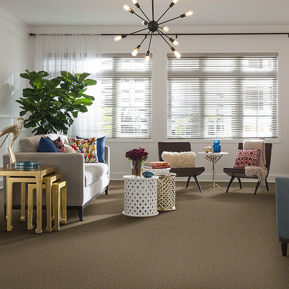 Shaw Floors Full Court 15′ Tassel 52Y82_00107