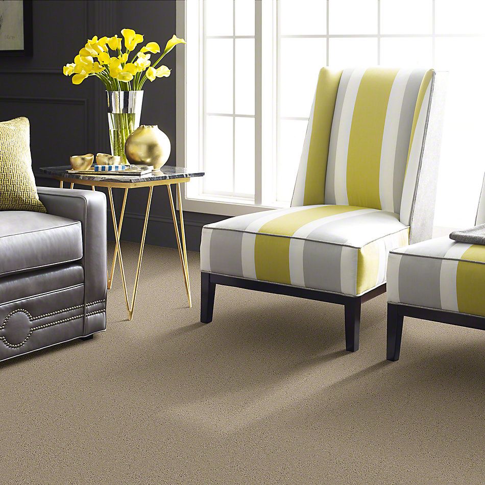 Shaw Floors Town Creek II Linen 52S30_00107