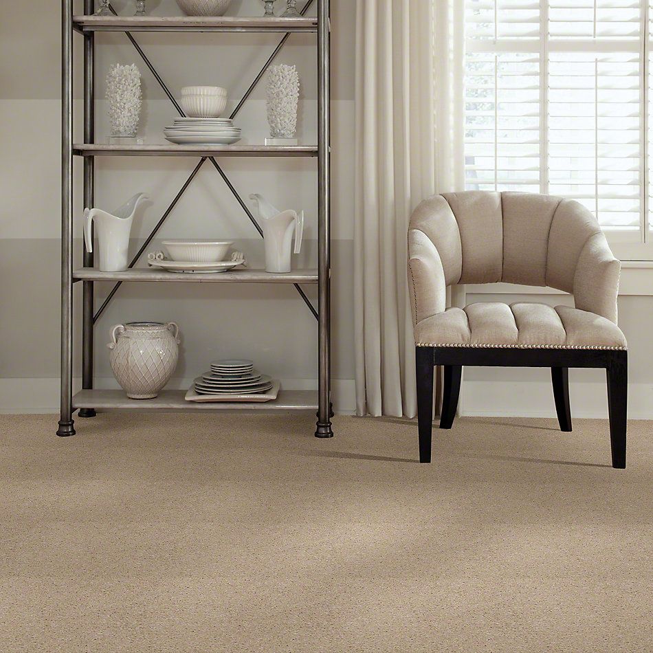 Shaw Floors Town Creek I 15′ Linen 52V12_00107