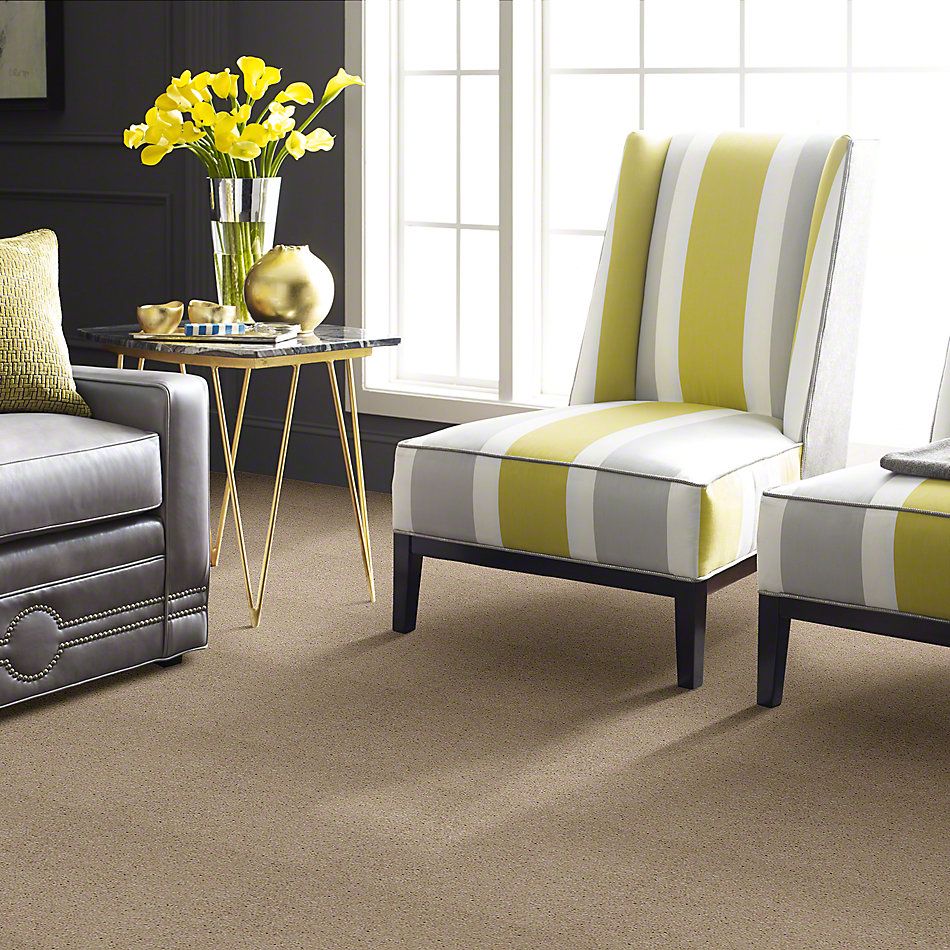 Shaw Floors Town Creek I 15′ Linen 52V12_00107