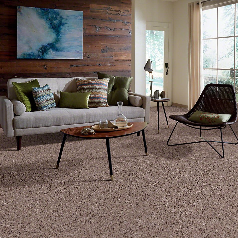 Shaw Floors Full Court 12′ Tassel 00107_52Y46