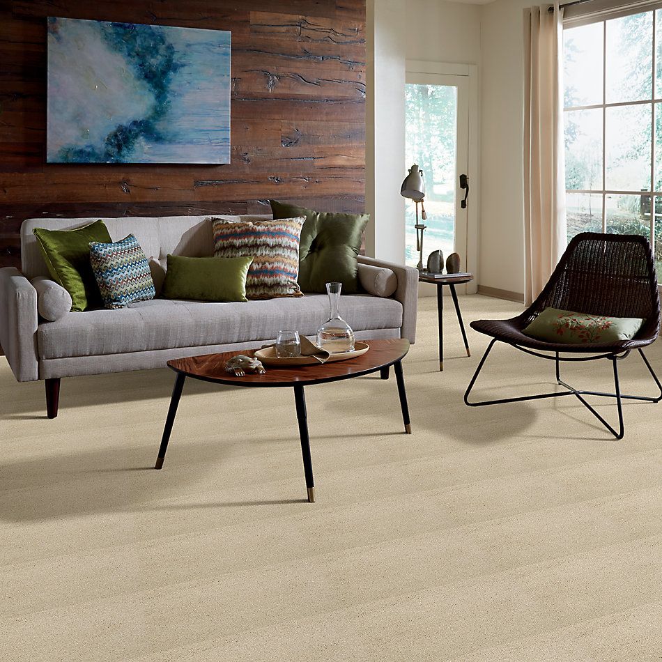 Shaw Floors Value Collections Cashmere I Lg Net Yearling 00107_CC47B