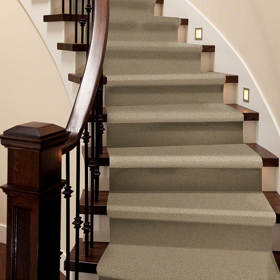 Shaw Floors Timeless Charm Loop Taffeta 00107_E0405