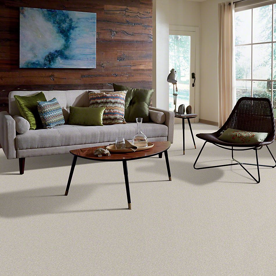 Shaw Floors Value Collections Xvn06 (s) Mist 00107_E1238