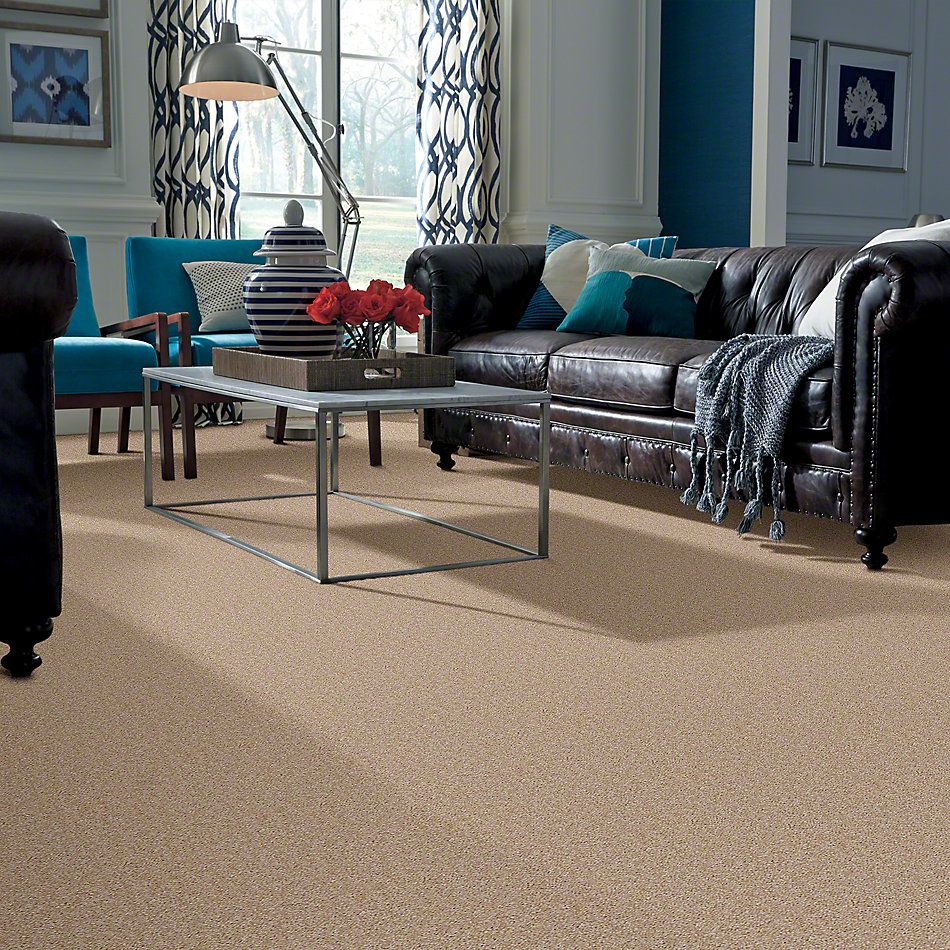 Shaw Floors Instant Winner Fawn 52E28_00108