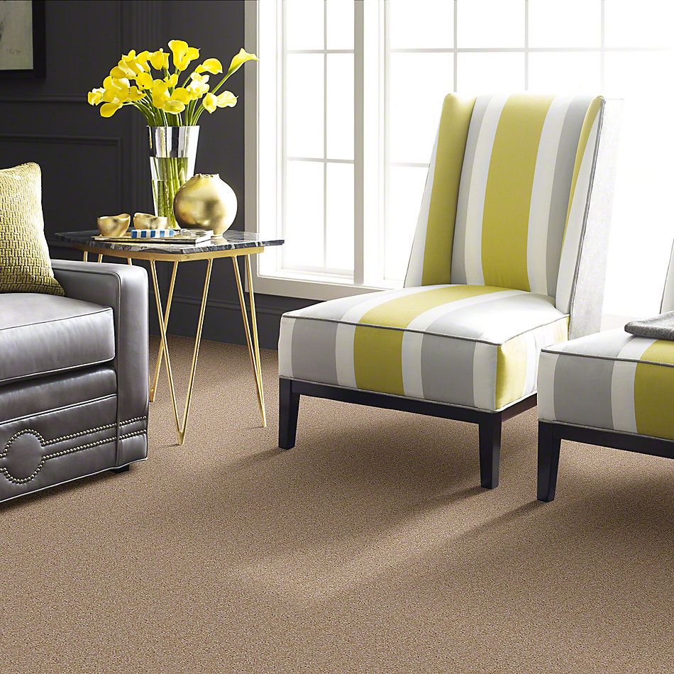 Shaw Floors Instant Winner Fawn 52E28_00108