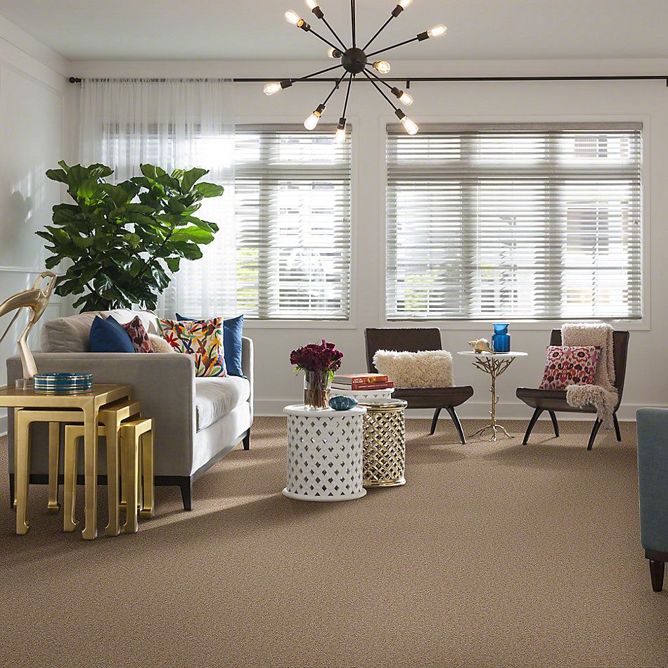 Shaw Floors Instant Winner Fawn 52E28_00108